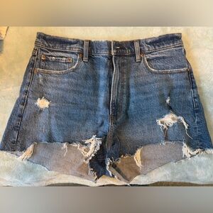 Abercrombie and Fitch Curve Love Mom Shorts
